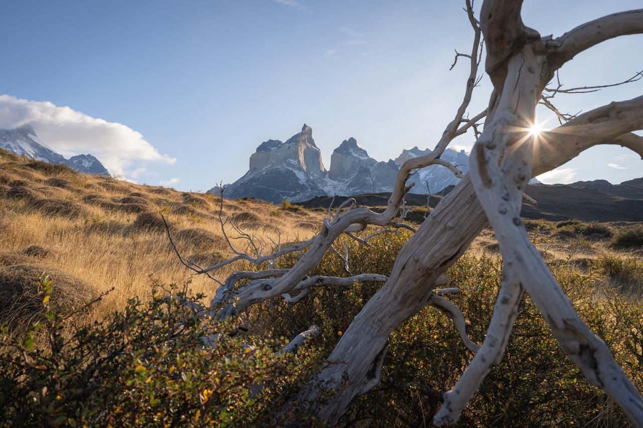 Equipo de Bagual Estudio - Agencia de marketing digital en la Patagonia especializada en branding, SEO y producción audiovisual